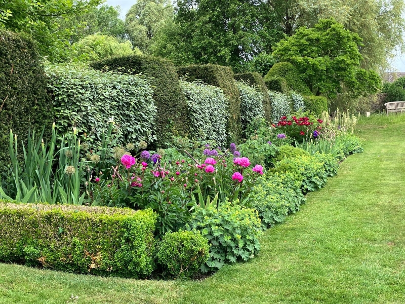 Ashley Manor